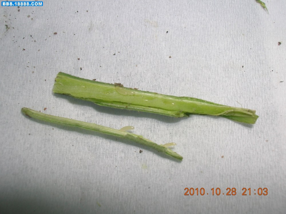 DSCN9835.jpg