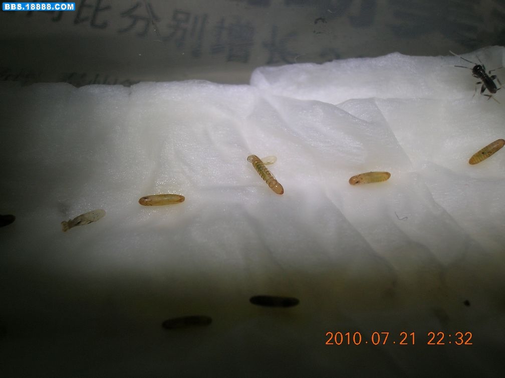 DSCN8943.jpg