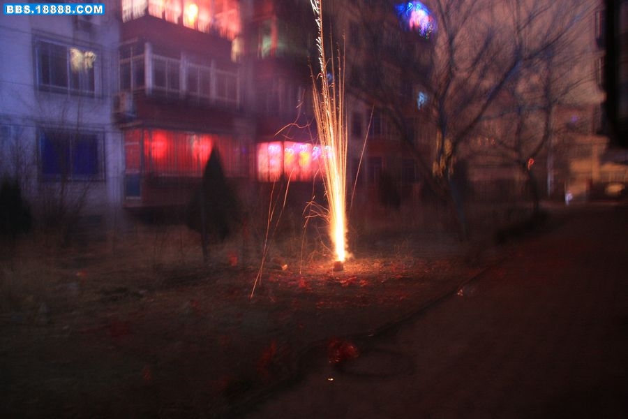 火树银花2.jpg