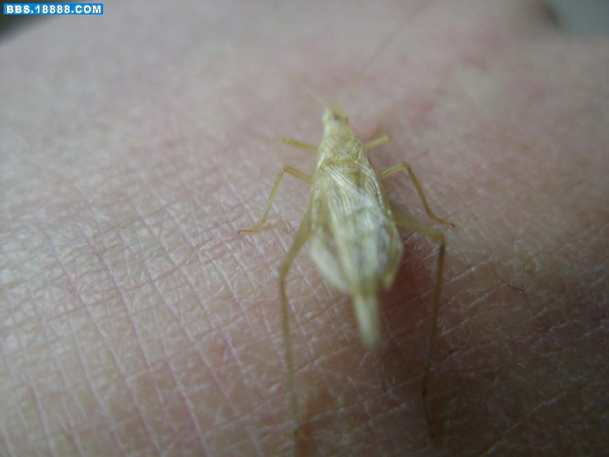 DSC08189.jpgmmm.jpg
