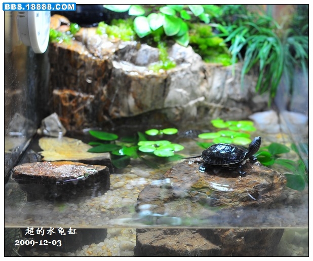 08539b1a65ab6d9b4bedbc2a.jpg