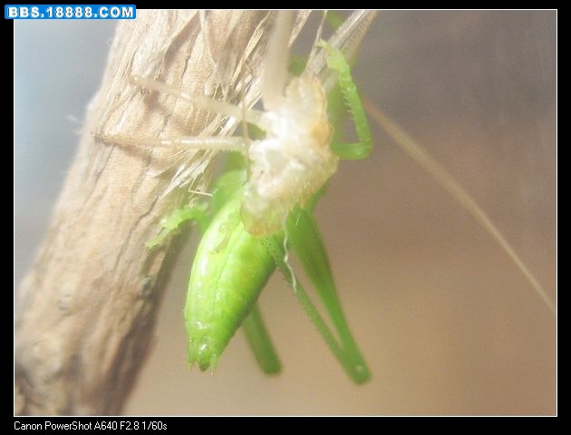 nEO_IMG_照片 055.jpg