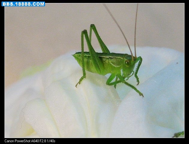 nEO_IMG_照片 019.jpg