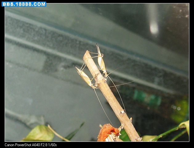 nEO_IMG_照片 002.jpg