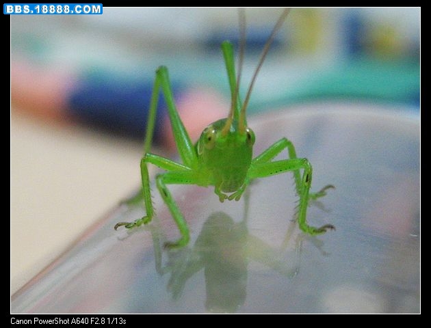 nEO_IMG_照片 003.jpg
