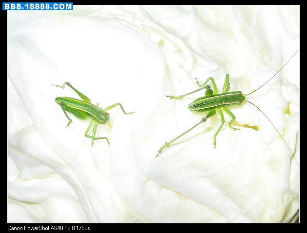 nEO_IMG_照片 021.jpg