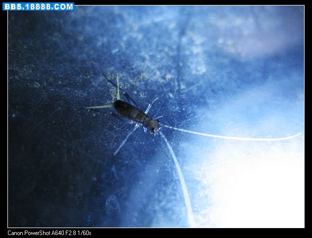 nEO_IMG_照片 062.jpg