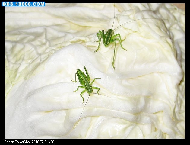 nEO_IMG_照片 023.jpg