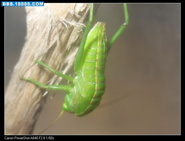 nEO_IMG_照片 003.jpg