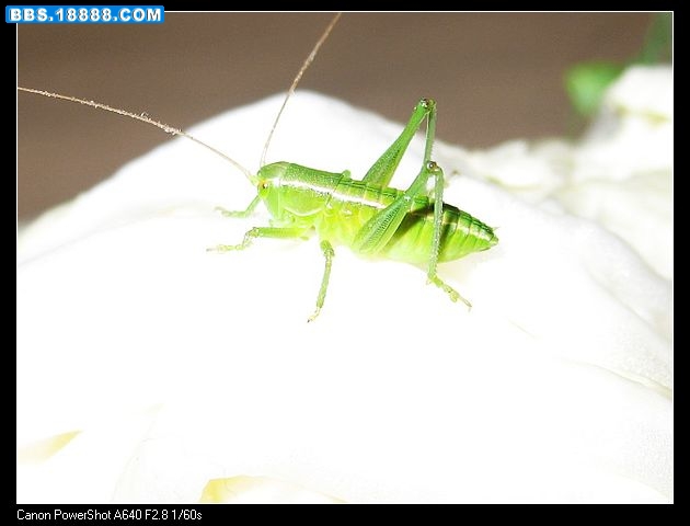 nEO_IMG_照片 030.jpg