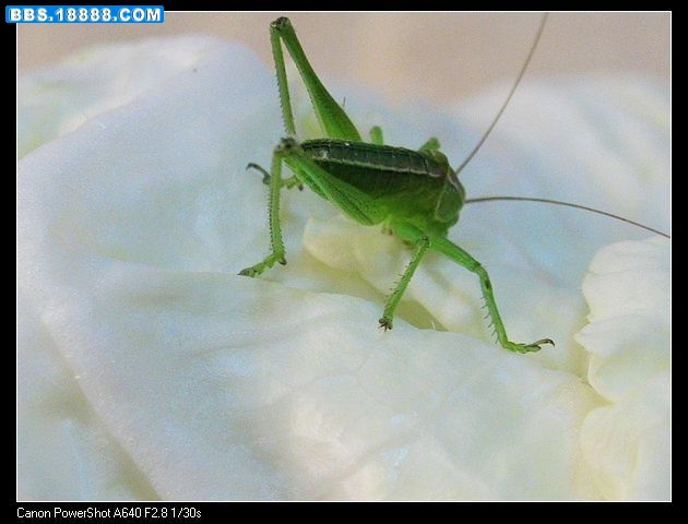 nEO_IMG_照片 008.jpg