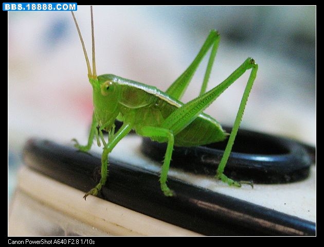 nEO_IMG_照片 011.jpg