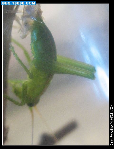 nEO_IMG_照片 050.jpg