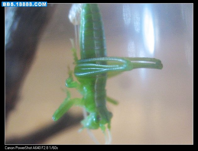 nEO_IMG_照片 040.jpg