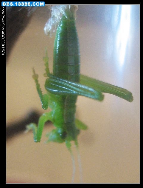 nEO_IMG_照片 046.jpg