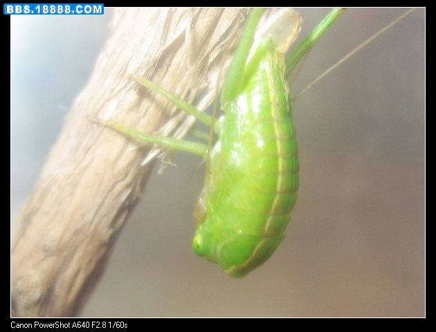 nEO_IMG_照片 011.jpg