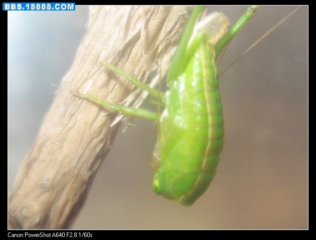 nEO_IMG_照片 010.jpg