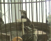 20110210142917.jpg