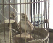 20110210140206.jpg