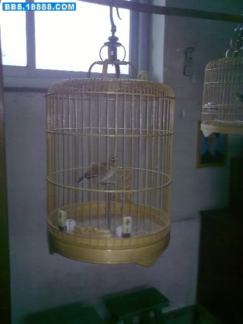 20110209.jpg