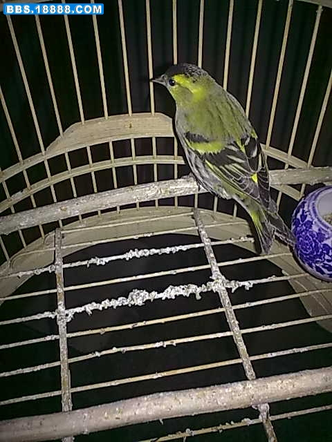 20110131038.jpg