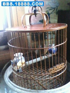IMG0033A.jpg