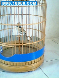 IMG0069A.jpg