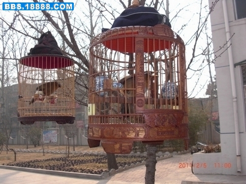 CIMG1576.JPG