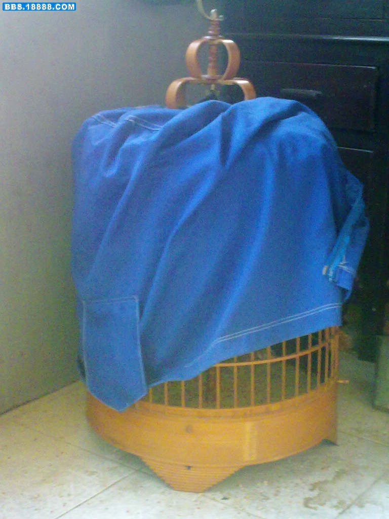 20110224912.jpg