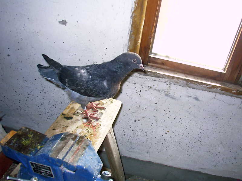 IMAG0063.JPG