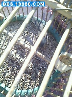 IMG0206101701.jpg