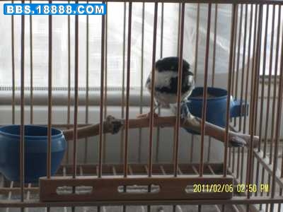 SAM_0202.jpg