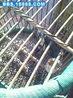 IMG0206101700.jpg