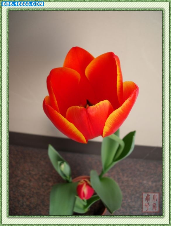 DSCF5776.jpg