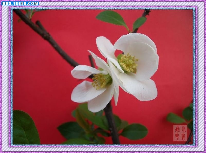 DSCF5752.jpg