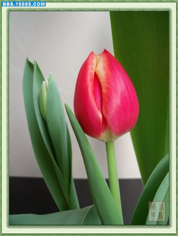 DSCF5774.jpg