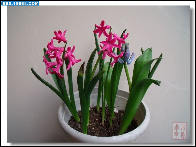 DSCF5722.jpg