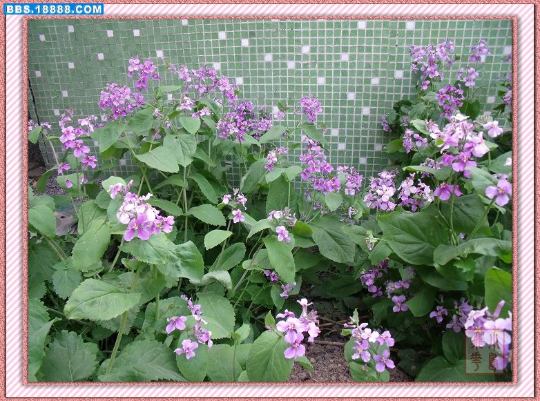 DSCF5785.jpg