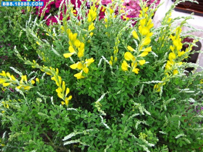 20100520041006.jpg