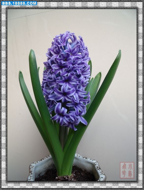 DSCF5779.jpg