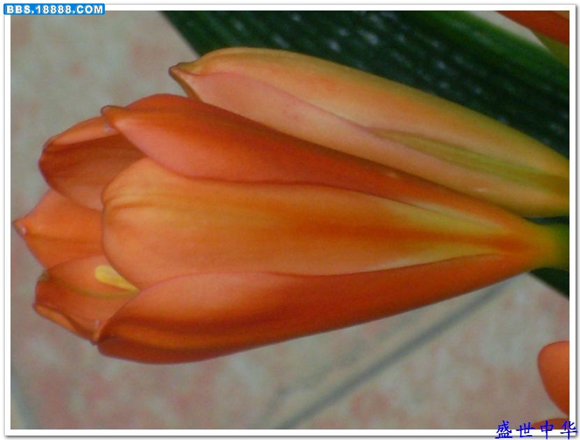 nEO_IMG_SL380053.jpg