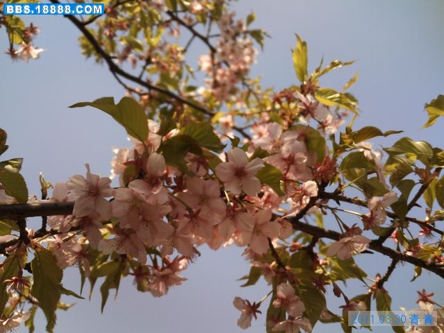 nEO_IMG_PICT3137.jpg