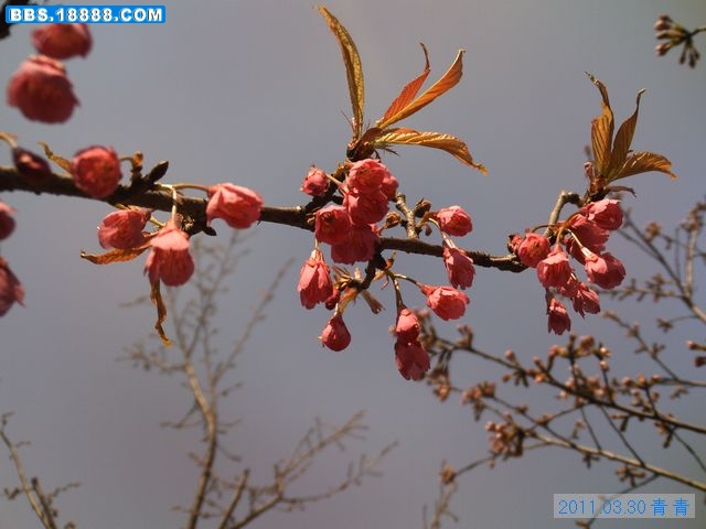 nEO_IMG_PICT3151.jpg