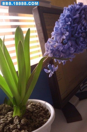 IMAG0063.jpg