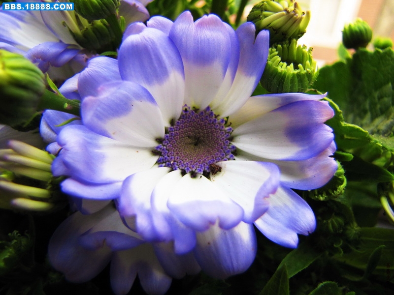 IMG_3615_调整大小.JPG