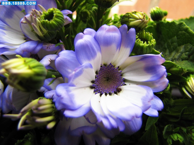 IMG_3613_调整大小.JPG