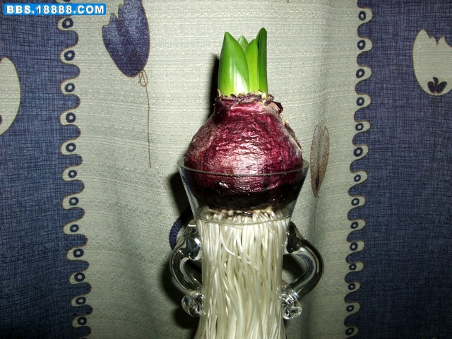 DSCF5899.jpg