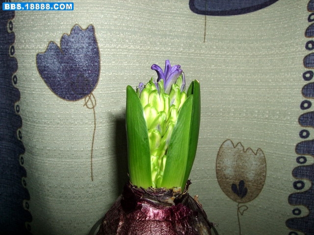 DSCF6053.jpg