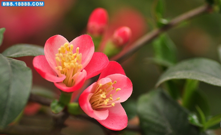 2011.3.5 067.jpg