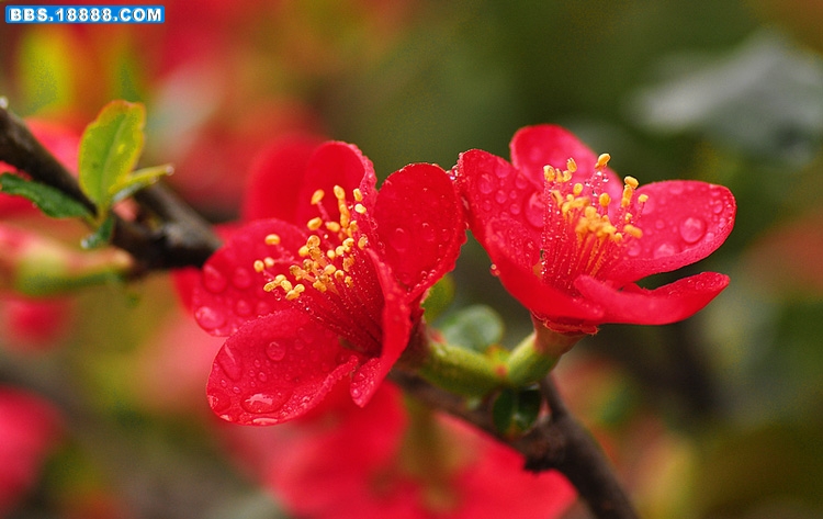 2011.3.5 070.jpg